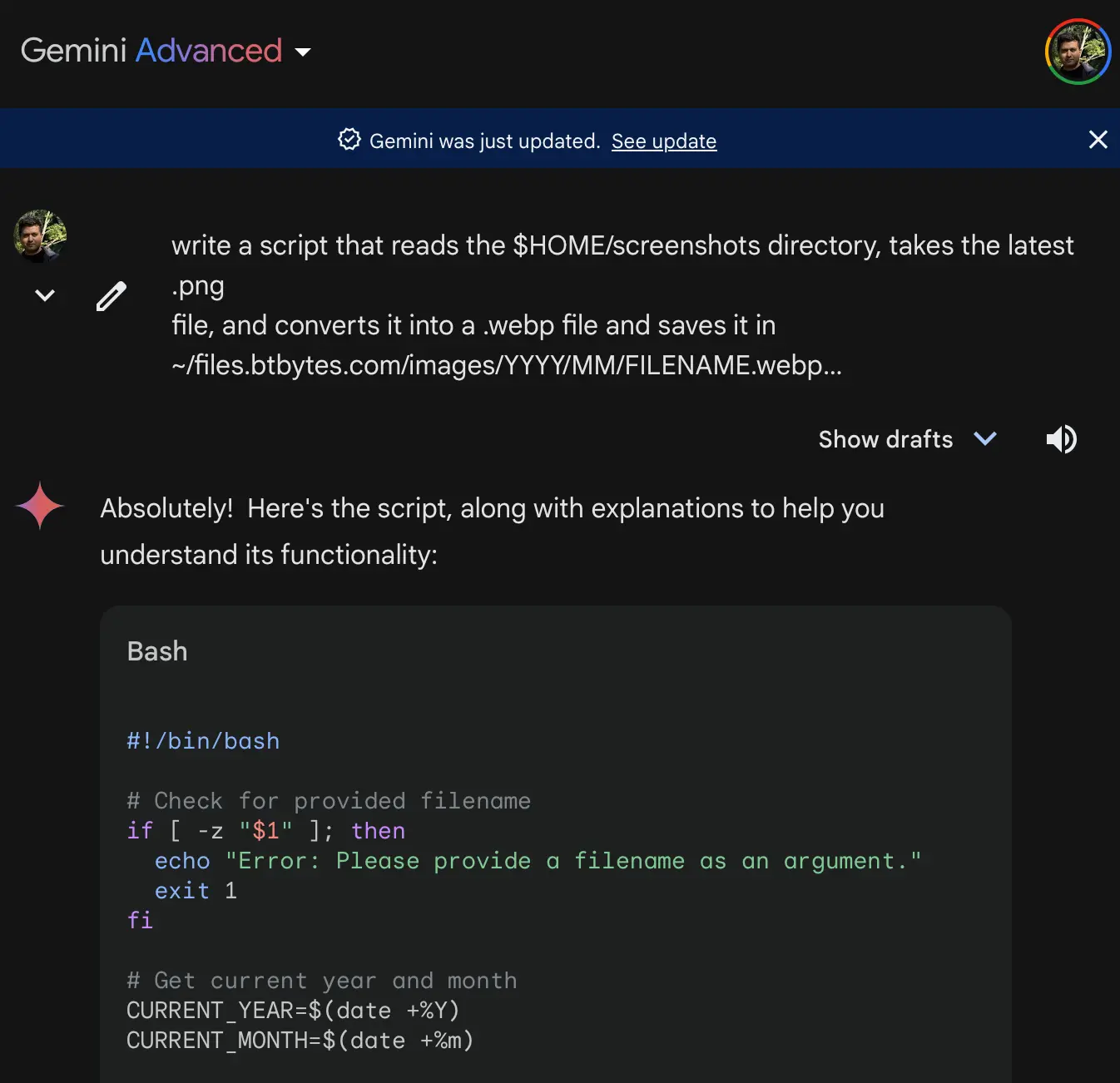 Gemini Screenshot Automation